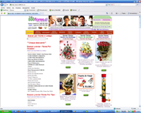 800flores.cl Dise&ntilde;o y Hosting