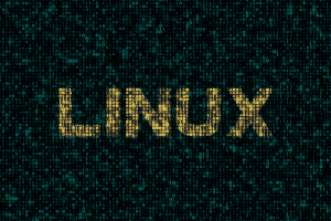 Hosting Linux